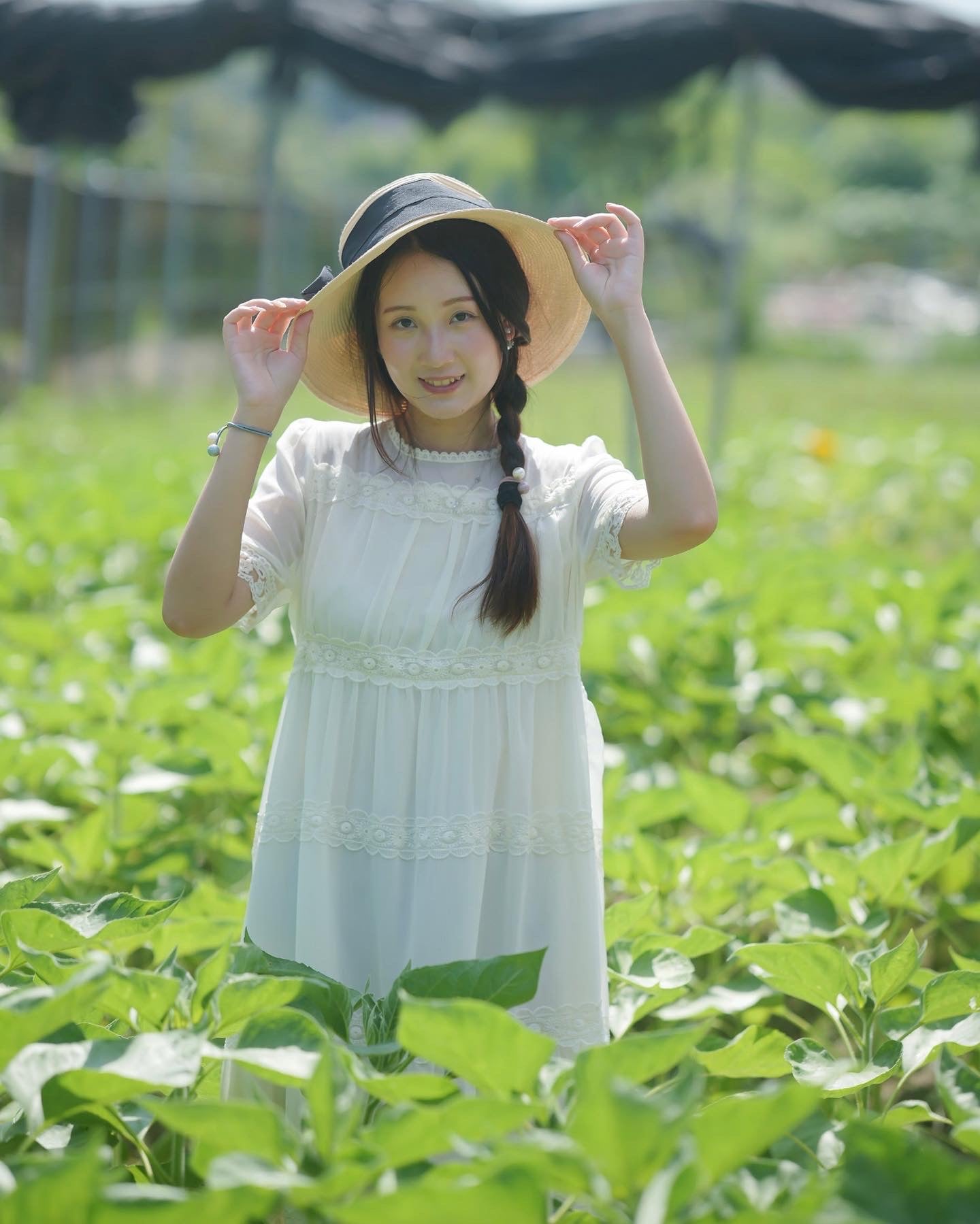 韓系花邊拼雪紡連身裙 The Lace And Chiffon Dress