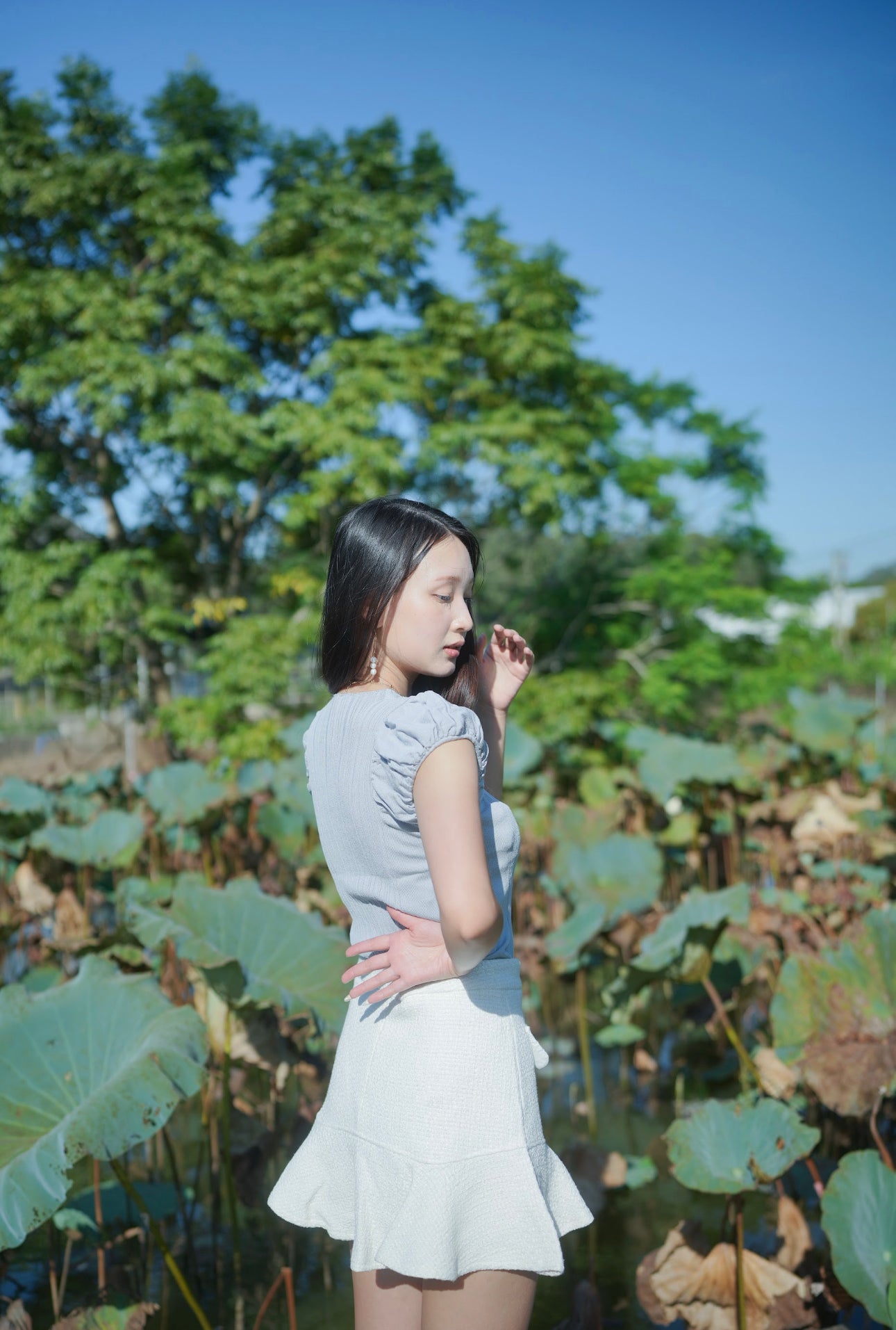 韓系小花領泡泡袖條紋織上衣