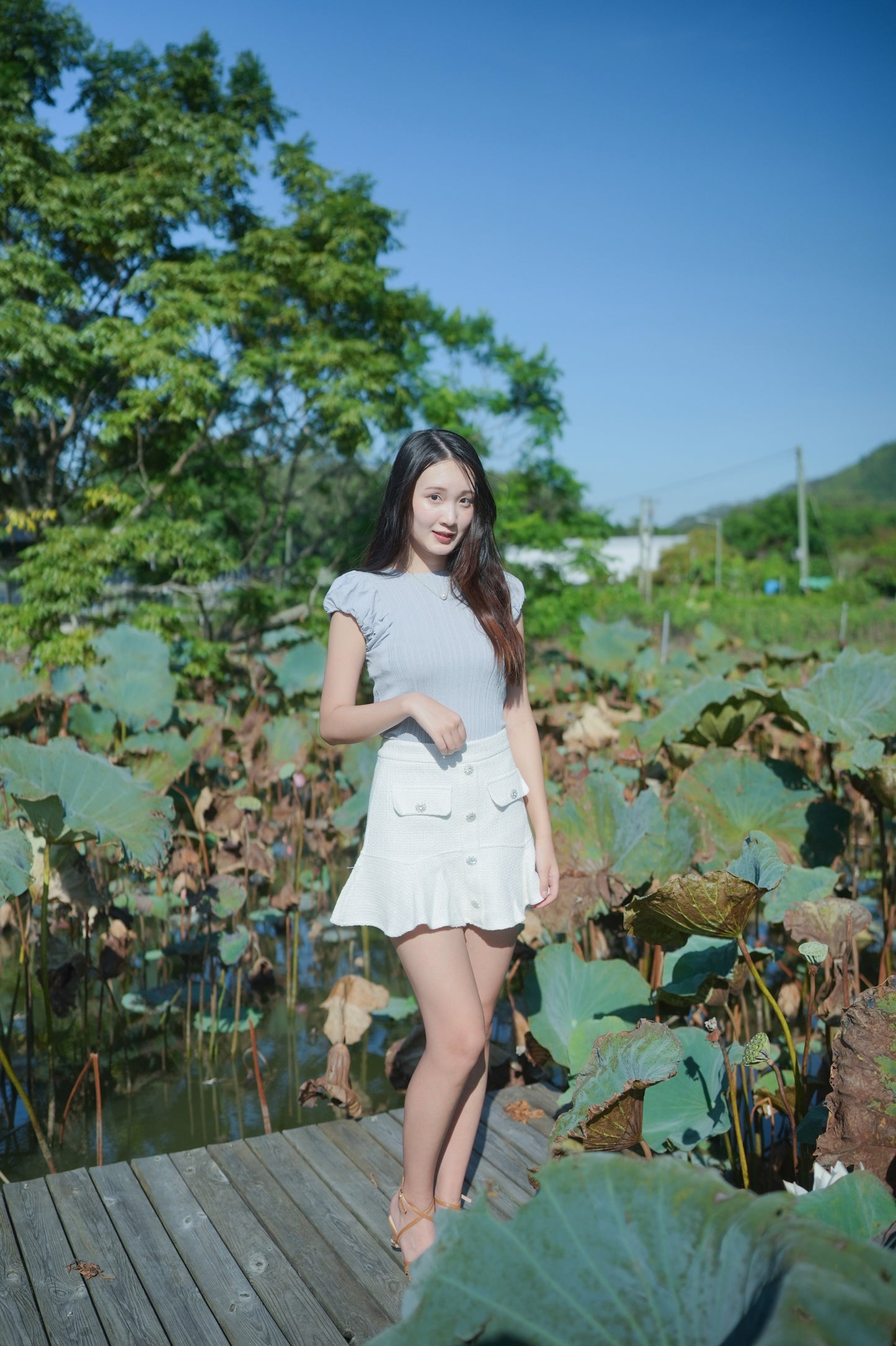 韓系小花領泡泡袖條紋織上衣